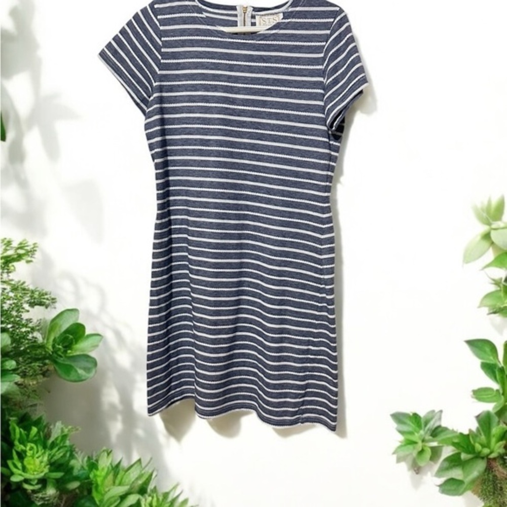 Blue and White Raglan Sleeve Mini Dress Size Large